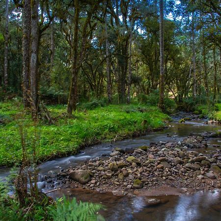ウルビシ Refugio Tres Catarinasヴィラ エクステリア 写真